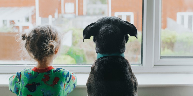 How Pets Can Transform the Lives of Children with Autism