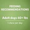 feeding recommendations, adult dogs 40+ lbs, 1 chew per day