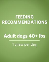 feeding recommendations, adult dogs 40+ lbs, 1 chew per day