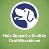 help support a healthy oral microbiome