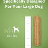 specifically designed for your large dog