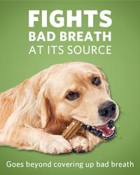 fights bad breath at its sources, goes beyond covering up bad breath