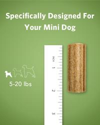 specifically designed for your mini dog