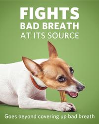 fights bad breath at its sources, goes beyond covering up bad breath