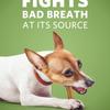 fights bad breath at its sources, goes beyond covering up bad breath