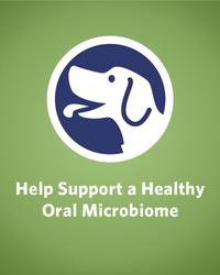 help support a healthy oral microbiome