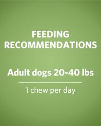 feeding recommendations, adult dogs 20-40 pounds, 1 chew per day