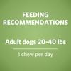 feeding recommendations, adult dogs 20-40 pounds, 1 chew per day