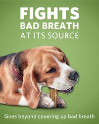 fights bad breath at its sources, goes beyond covering up bad breath