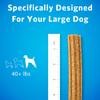 specifically designed for your large dog