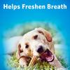 helps freshen breath