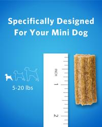 specifically designed for your mini dog