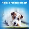 helps freshen breath