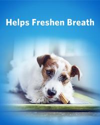 helps freshen breath