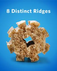 8 distinct ridges