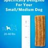 specifically designed for your small to medium dog