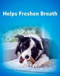 helps freshen breath