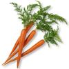 Carrots (Dried)