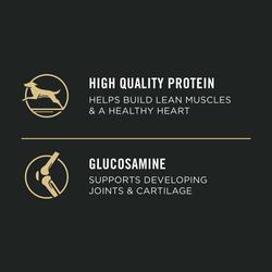 High quality protein helps build lean muscles & a healthy heart. Glucosamine supports developing joints & cartilage.