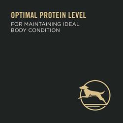 Optimal protein level for maintaining ideal body condition.