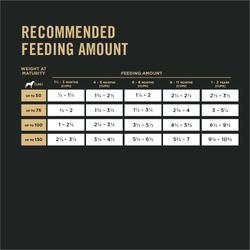 Recommended feeding amount