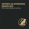 Support an Appropriate growth rate