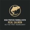 high protein formula with real salmon as the first ingredient