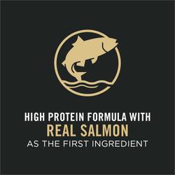 high protein formula with real salmon as the first ingredient