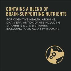 contains a blend of brain-supporting nutrients