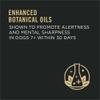 enhanced botanical oils shown to promote alertness and mental sharpness in dogs 7+ within 30 days