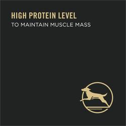 high protein level to maintain muscled mass