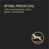 Optimal protein level for maintaining ideal body condition