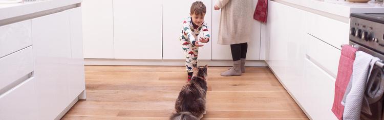 boy in pajamas playing with cat in kitchen