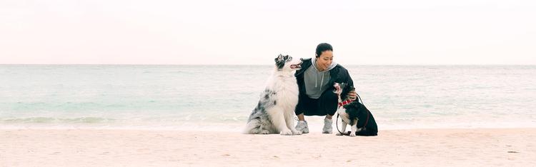 woman on beach with two dogs