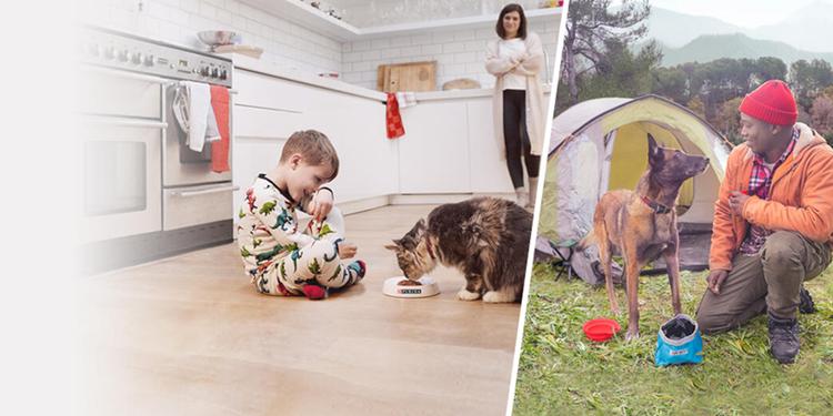 Find Your Dog & Cat's Perfect Food hero image