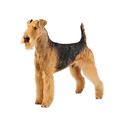 Airedale Terrier