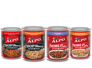 ALPO canned dog food recipes