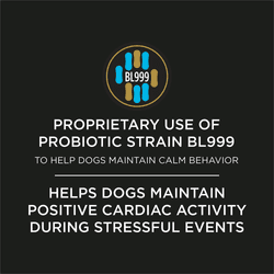 Proprietary use of probiotic strain BL999 to help dogs maintain calm behavior. Helps dogs maintain positive cardiac activity during stressful events.