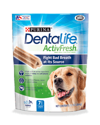 Dentalife ActivFresh Large