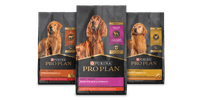 A group of bags of Pro Plan dog food