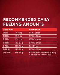 grain free beef dog food feeding instructions