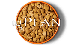 My Plan Dog Bowl