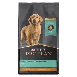 Purina Pro Plan Development Puppy Chicken & Rice Formula