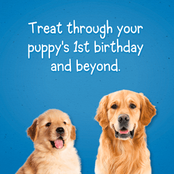 Puppy Chow Training Treats -birthday