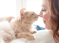 Cat kissing owner
