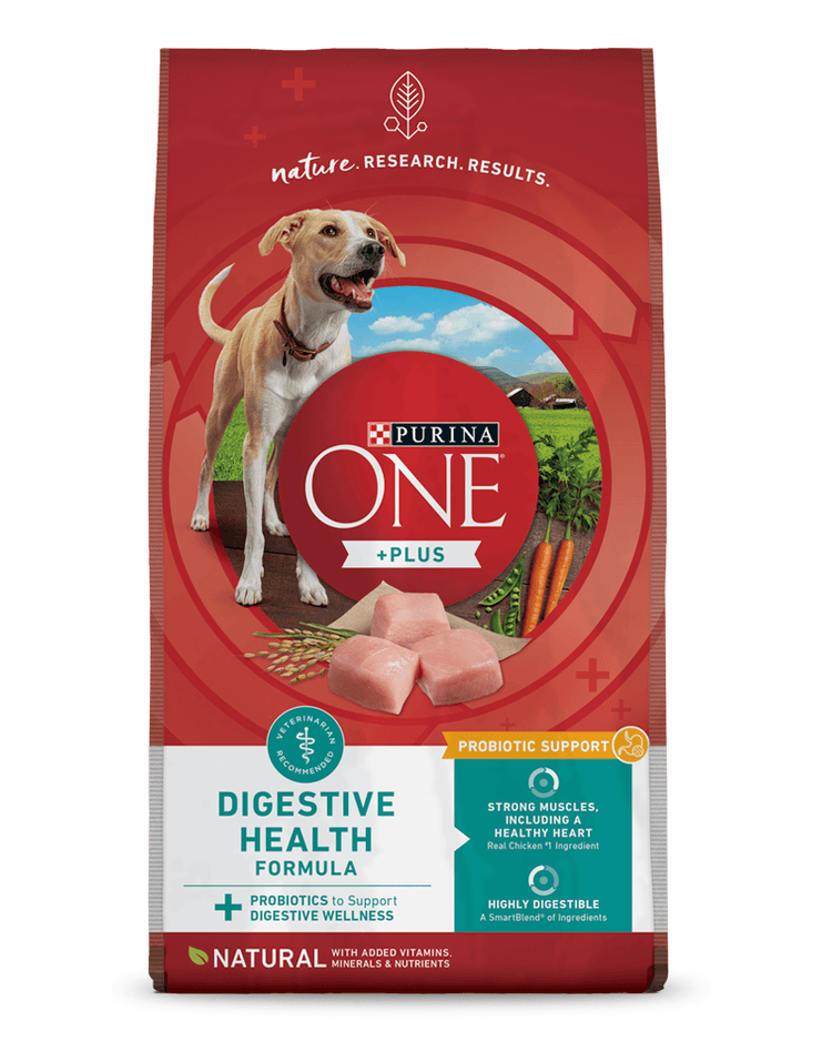 Purina ONE® +Plus Digestive Health Formula Dry Dog Food