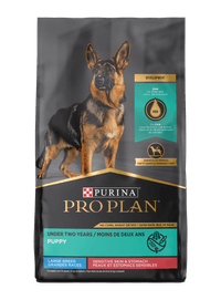 Pro Plan Sensitive Skin & Stomach Salmon & Rice Large Breed Probiotic Dry Puppy Food